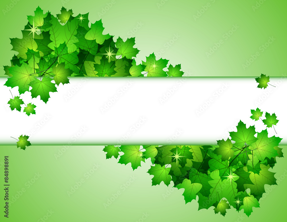 Nature background with green fresh leaves . 