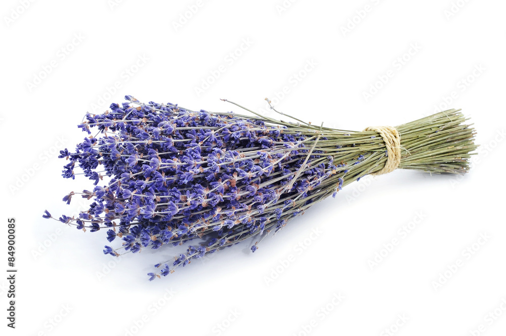 Fototapeta premium bunch of lavender flowers