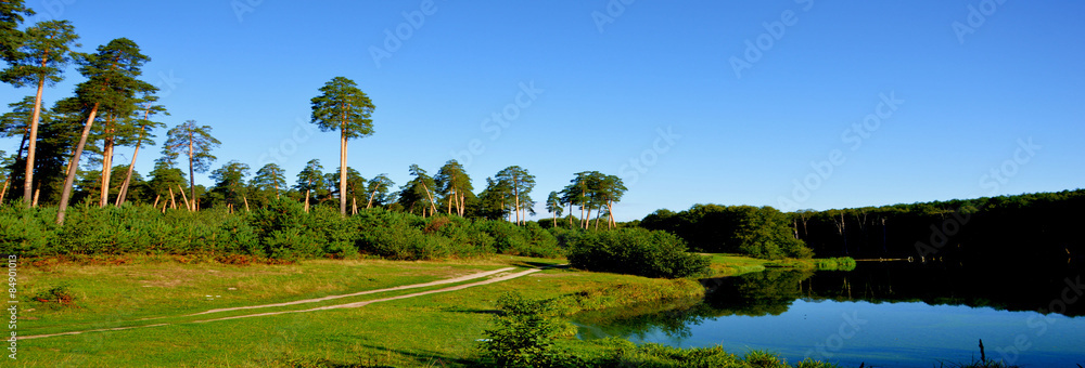 Fototapeta premium На природе летом