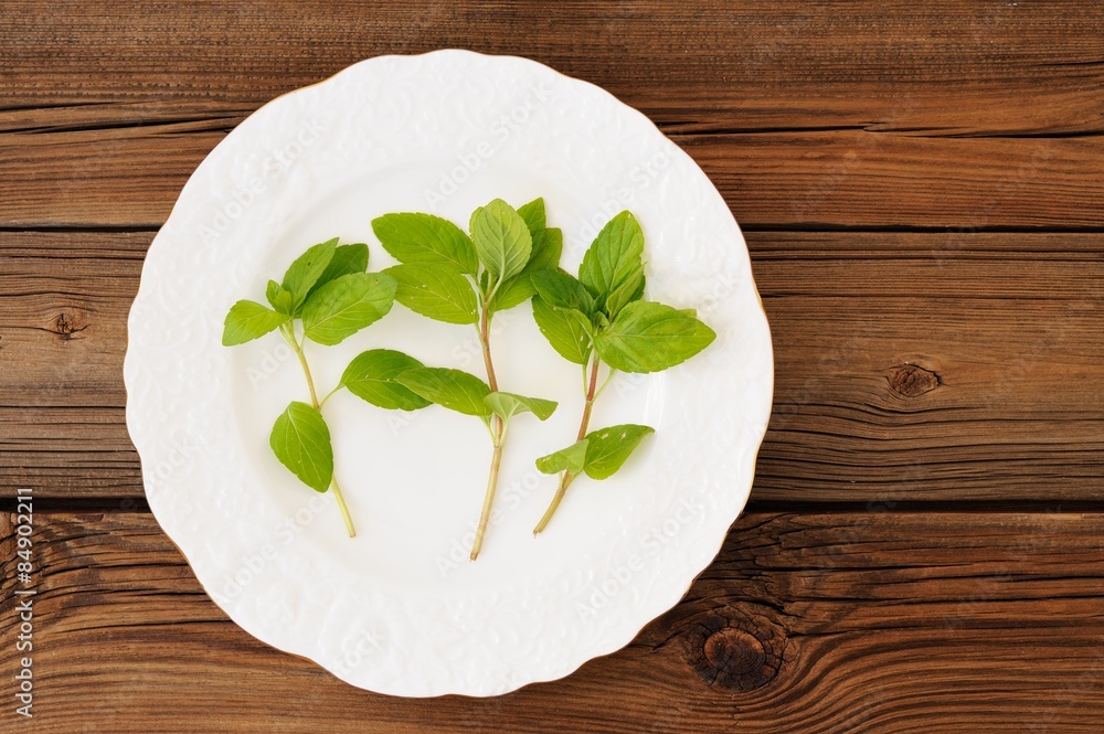 Three shoots of fresh wild mint on white plate on wooden backgro Three shoots of fresh wild mint on white plate on wooden backgro