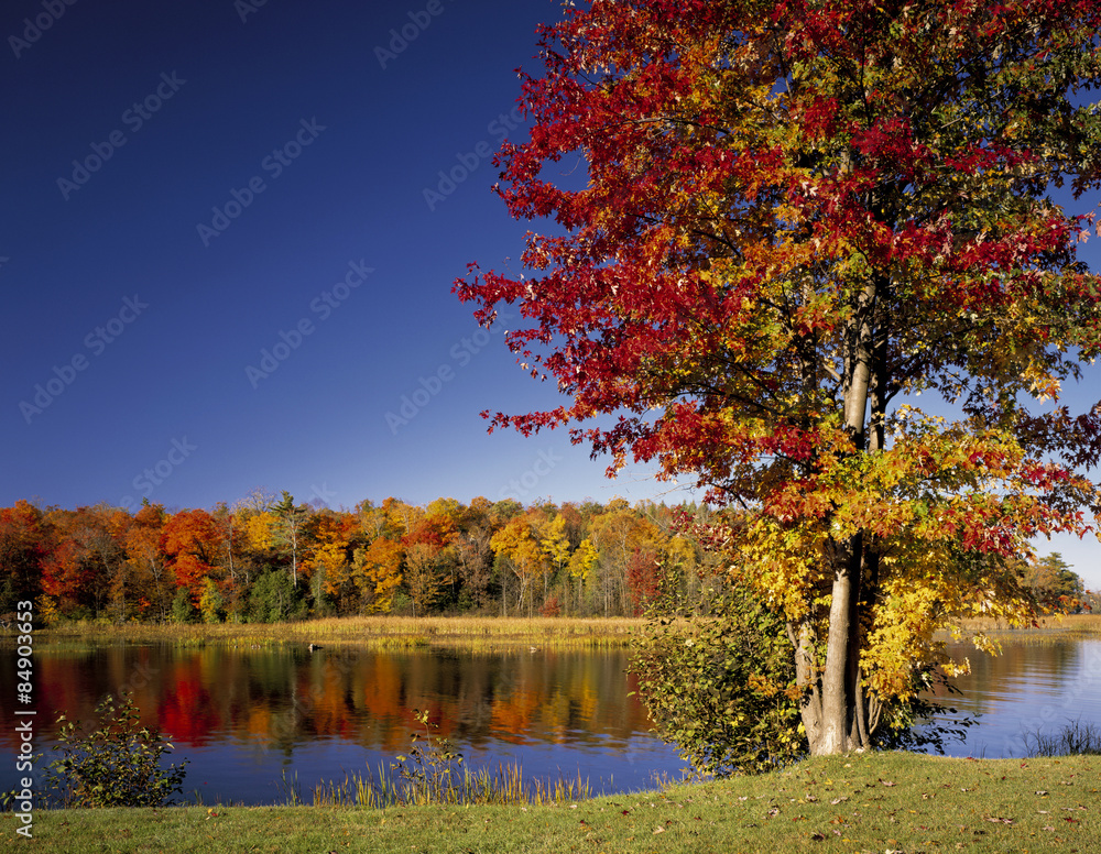 秋のクリーク　オンタリオ州