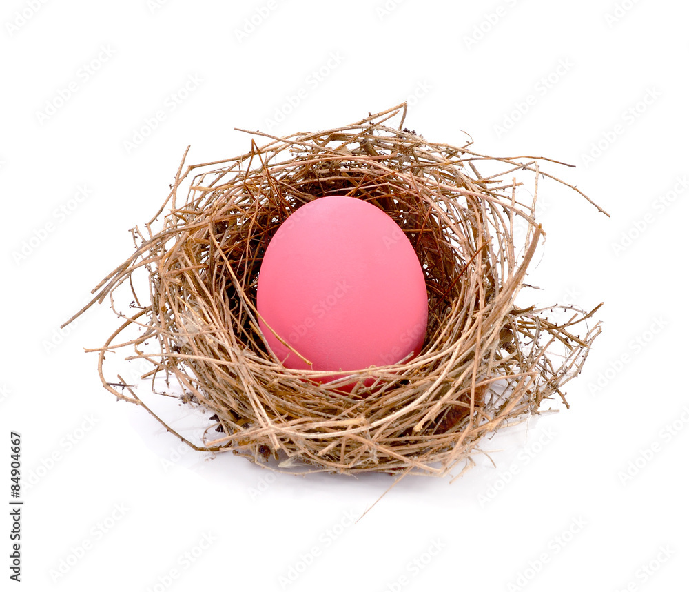 light pink easter egg in nest isolated on white background light pink easter egg in nest isolated on white background