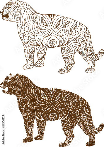 Fototapeta Naklejka Na Ścianę i Meble -  Indian tiger patterns