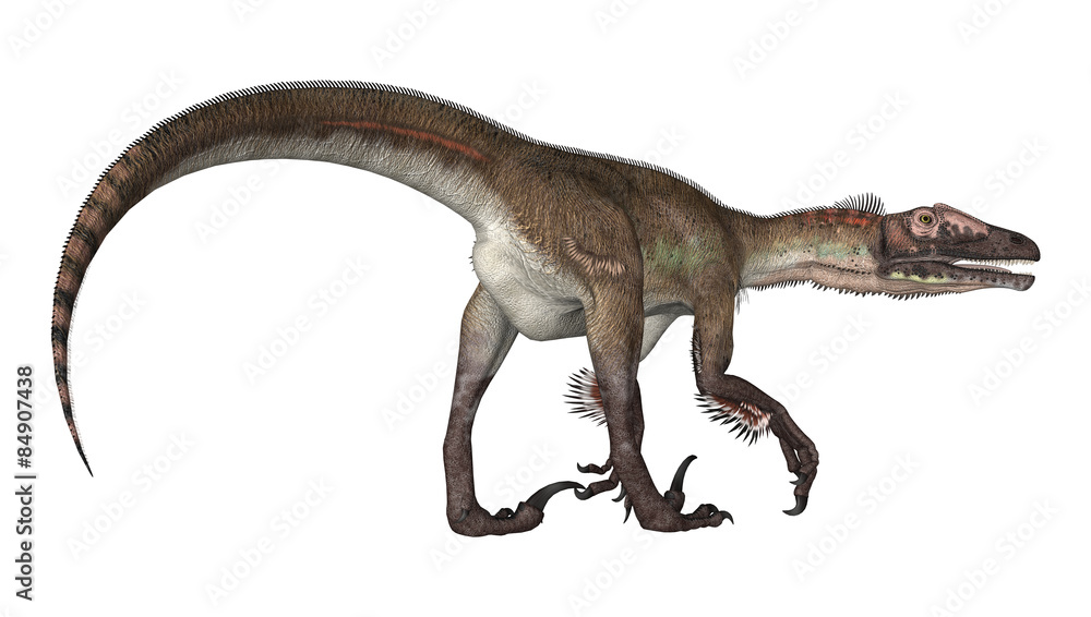 Dinosaur Utahraptor