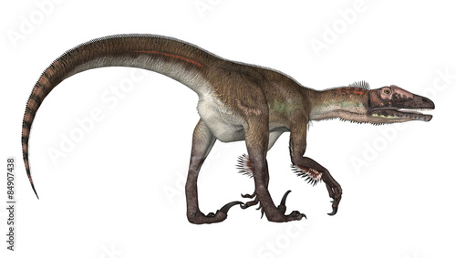 Dinosaur Utahraptor © photosvac