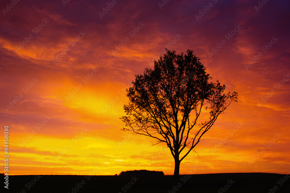 Fototapeta premium sunset