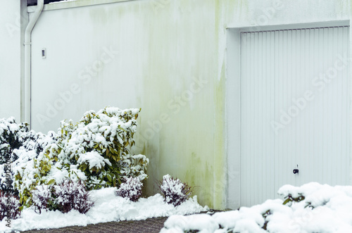 Algenbildung Hausfassade