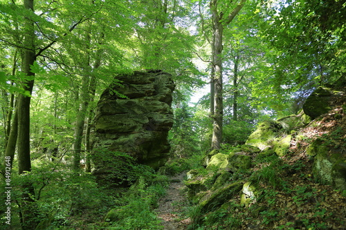 Wanderpfad, Wald, Felsen, Deutsch- Luxemburgischer Naturpark