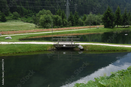 lago ponte cigno acqua montagna