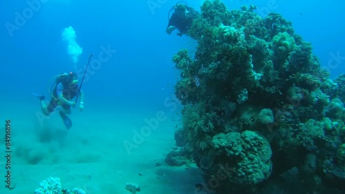 Wallpaper Mural Diver shooting on GoPro the life of a coral reef, Red sea, Marsa Alam  Torontodigital.ca