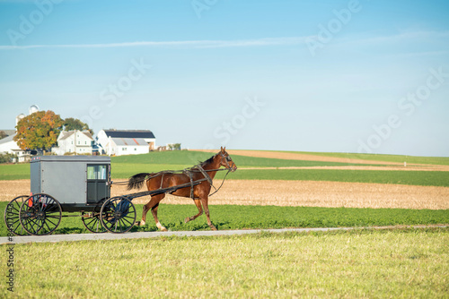 Fototapeta Naklejka Na Ścianę i Meble -  Amish Horse and Buggy