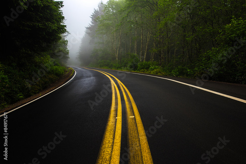 Yellow street lines curving into a misty forest near Cape Meares State Park, Oregon
