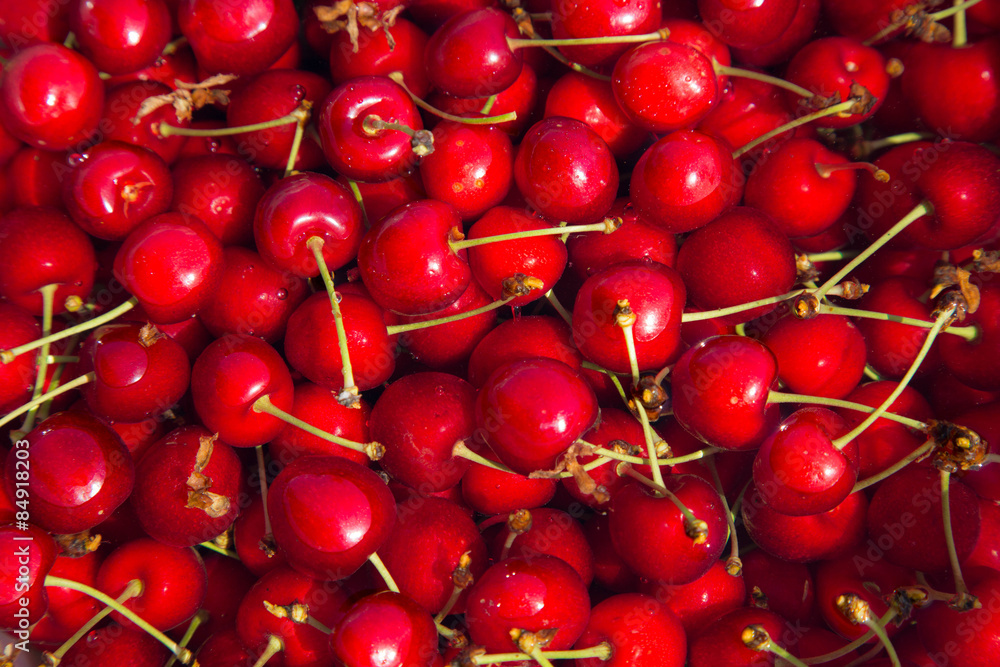 großer Eimer voller frischer, roter, reifer Kirschen großer Eimer voller frischer, roter, reifer Kirschen