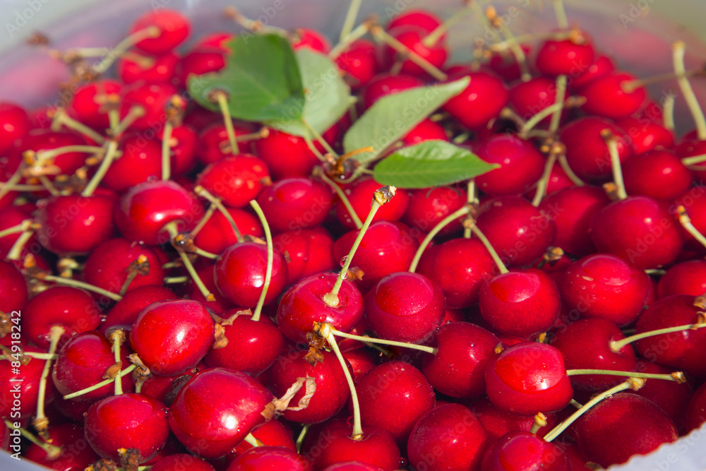 großer Eimer voller frischer, roter, reifer Kirschen großer Eimer voller frischer, roter, reifer Kirschen