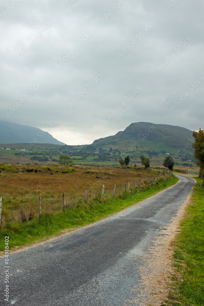 Rural Landscape 