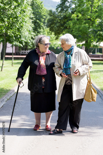 Wallpaper Mural two senior ladies walking in a park Torontodigital.ca