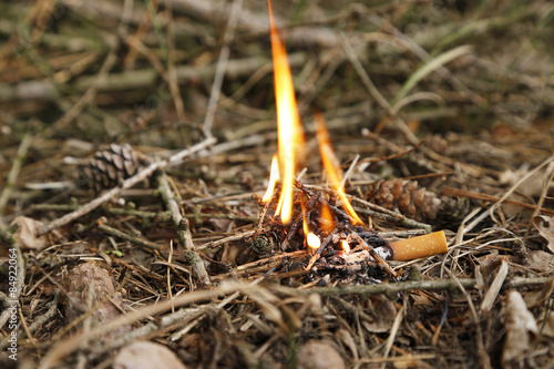 beginnender Waldbrand durch Zigarettenkippe verursacht