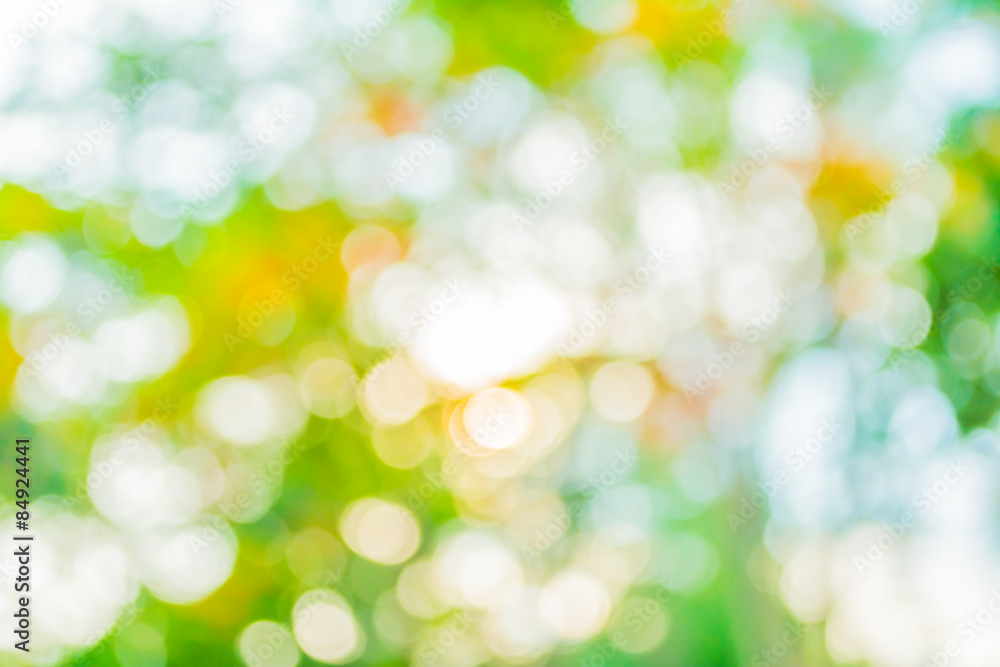 blur image of Abstract Bokeh of tree green color background. blur image of Abstract Bokeh of tree green color background.