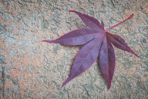 Red maple leaf on stone floor background photo