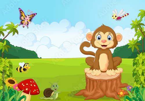 Happy monkey in the forest