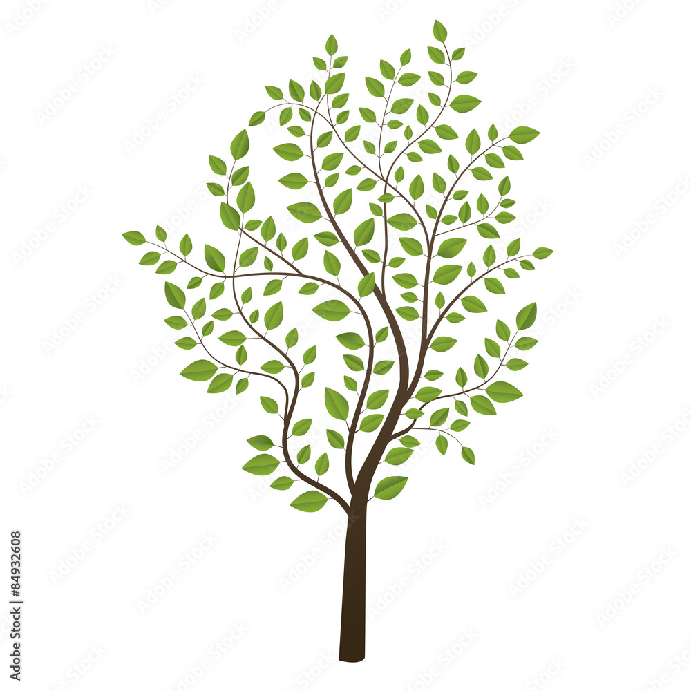 Small tree colored isolated on white background Small tree colored isolated on white background