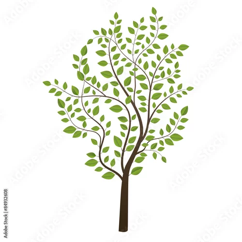 Naklejka na ścianę Mały drzewo barwiący odizolowywającym na białym tle