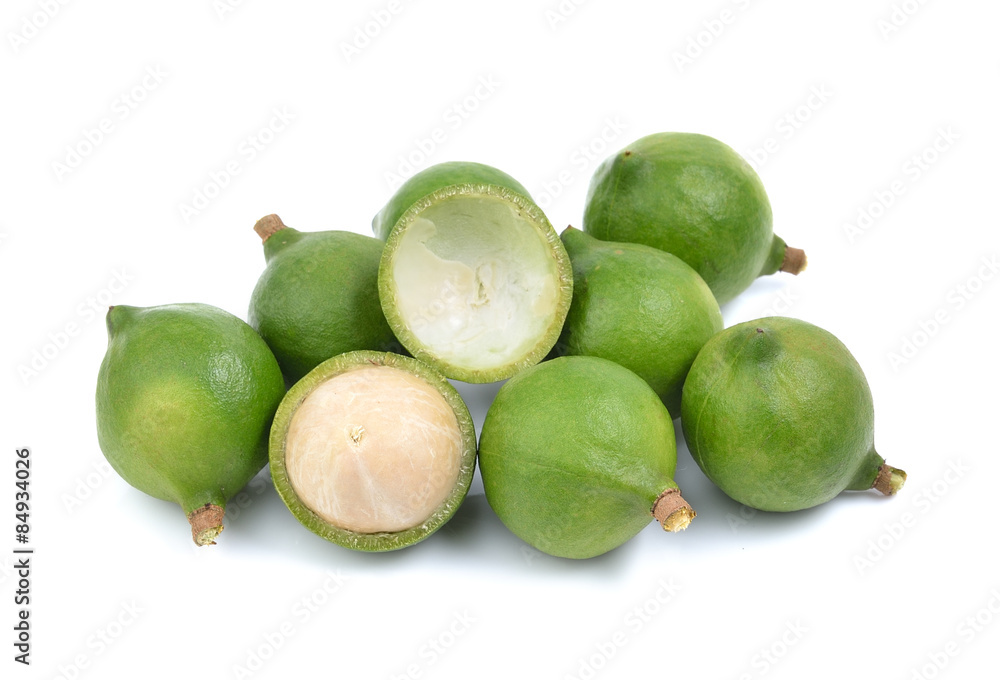 fresh macadamia nut on a white background fresh macadamia nut on a white background