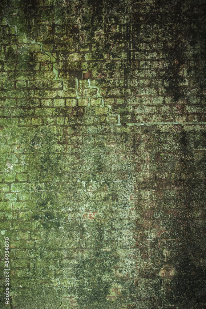 Obraz premium Green Wall Gunge