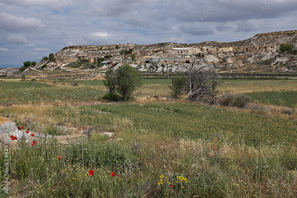 Fototapeta premium Paysage d'Andalousie , Espagne