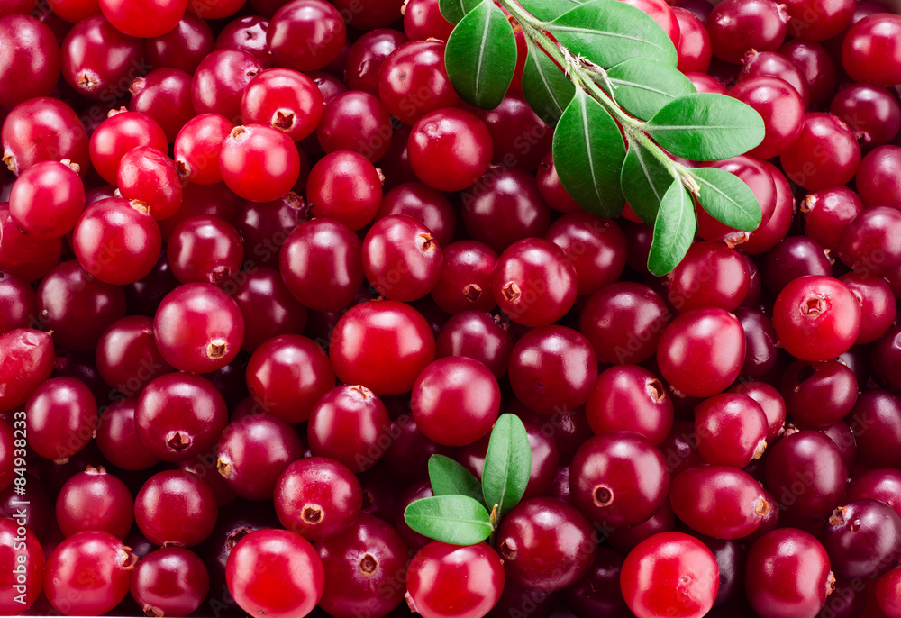 Cranberry with leaves. Red background. Cranberry with leaves. Red background.