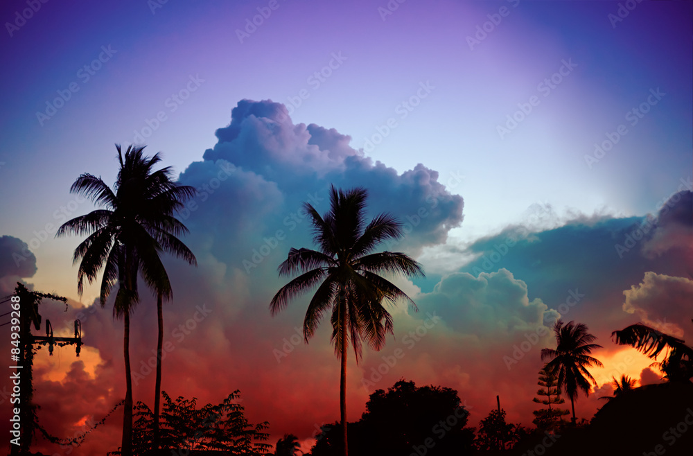 colorful sunset with clouds and tropical palms on background