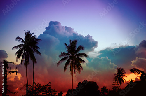 colorful sunset with clouds and tropical palms on background