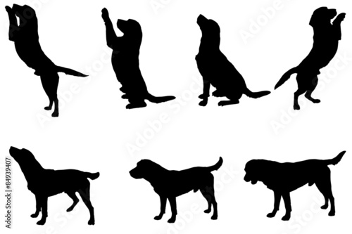 Vector silhouette of a dog.