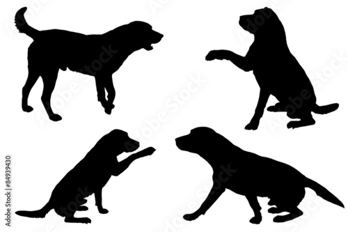 Vector silhouette of a dog.