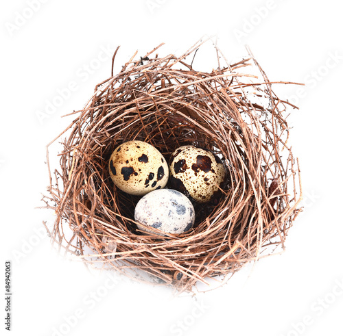 Bird nest and egg isolated on white background