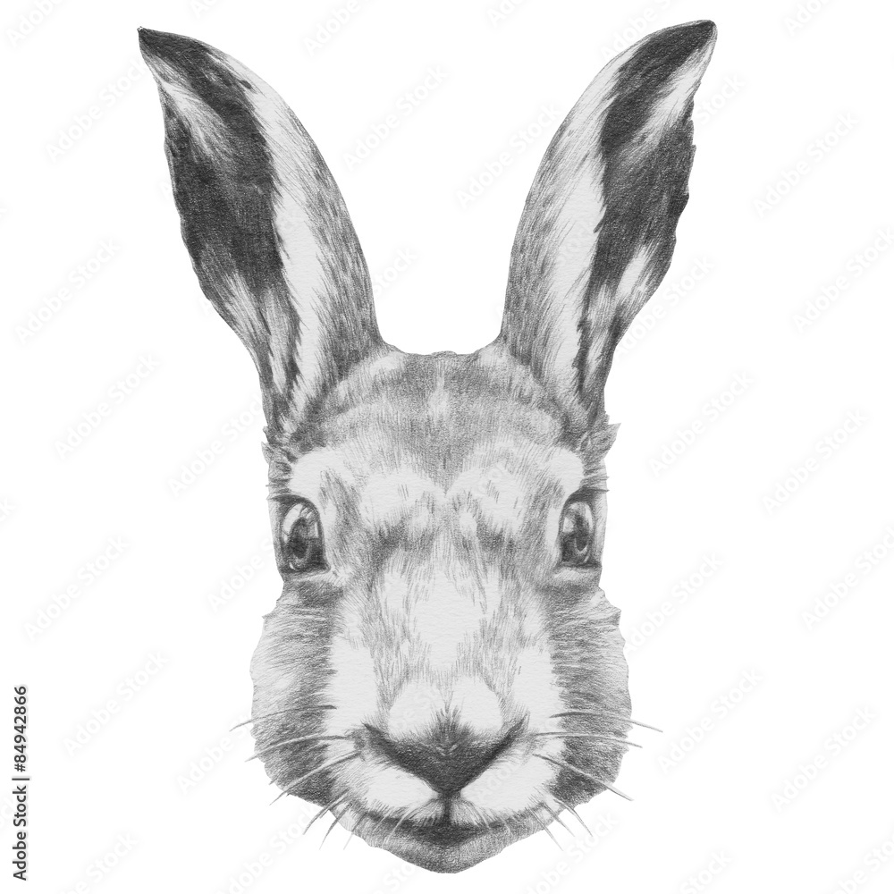 Fototapeta premium Original drawing of Rabbit. Isolated on white background