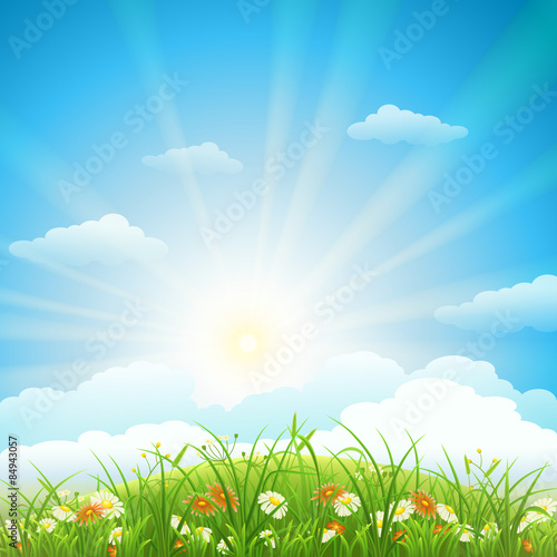 Summer meadow with green grass, flowers, sky and sun
