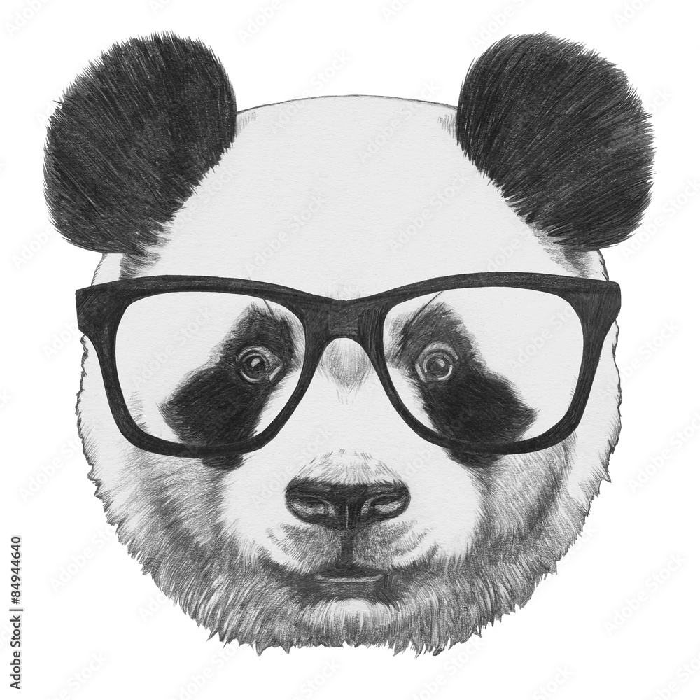 Fototapeta premium Oryginalny rysunek Pandy w okularach. Na białym tle