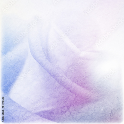 soft color rose on mulberry paper texture for romantic background

