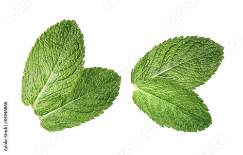 2 double mint leaves composition isolated on white background