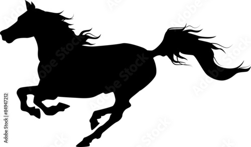 Horse silhouette