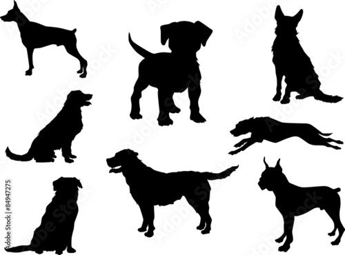 Dogs silhouette