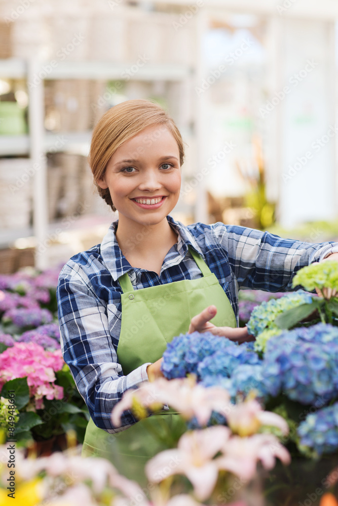 happy woman taking care of flowers in greenhouse happy woman taking care of flowers in greenhouse