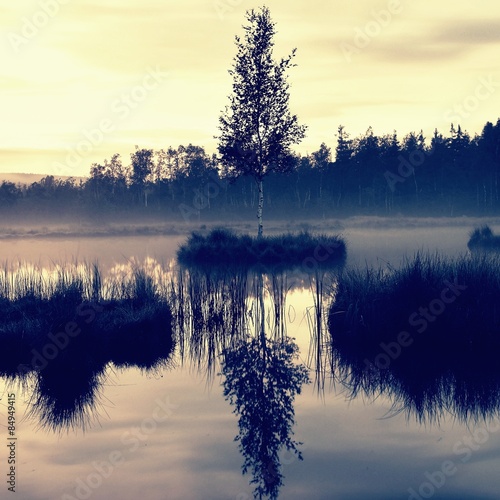 Swampy lake with mirror water level in mysterious forest