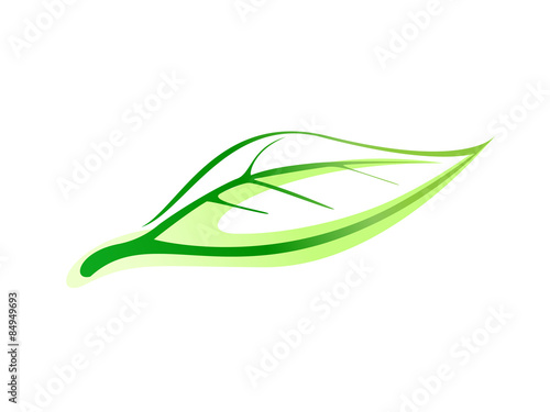 leaf symbol icon vector conceptual illustration
