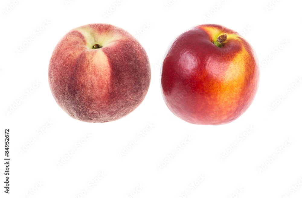 nectarine and peach on white