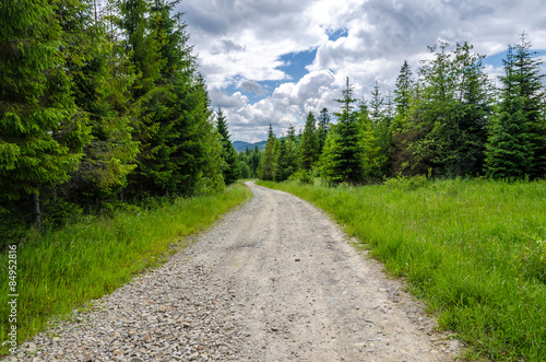 Fototapeta Naklejka Na Ścianę i Meble -  Droga gruntowa w lesie