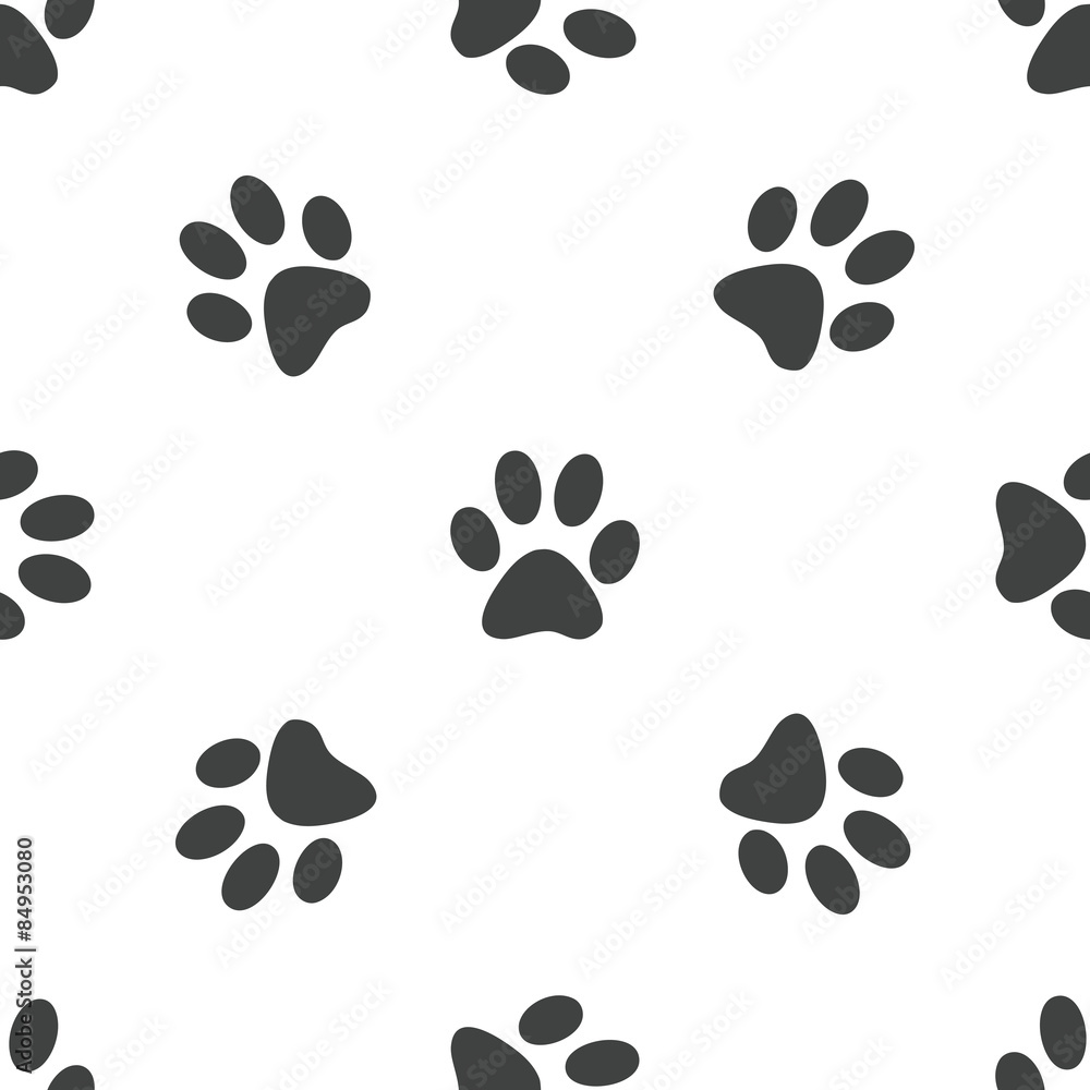 Fototapeta premium Paw pattern