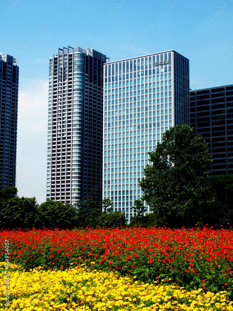 Naklejka premium 浜離宮恩賜公園