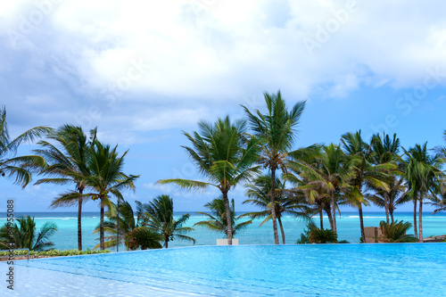 poolside palm trees and sea